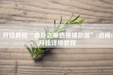 开挂教程“德扑之星透视辅助器	”(透视)开挂详细教程