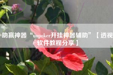 助赢神器“uupoker开挂神器辅助	”【透视软件教程分享】