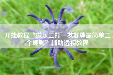 开挂教程“微乐三打一发好牌最简单三个规则”辅助透视教程