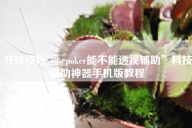 开挂技巧“wepoker能不能透视辅助	”科技辅助神器手机版教程