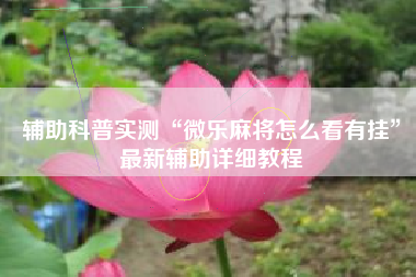 辅助科普实测“微乐麻将怎么看有挂”最新辅助详细教程