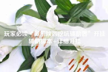 玩家必读“微乐陕西挖坑辅助器”开挂辅助脚本+详细开挂