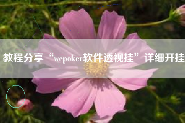 教程分享“wepoker软件透视挂”详细开挂