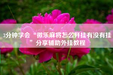 3分钟学会“微乐麻将怎么开挂有没有挂”分享辅助外挂教程