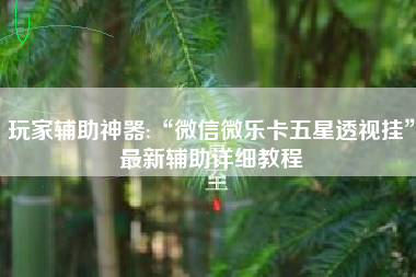 玩家辅助神器:“微信微乐卡五星透视挂”最新辅助详细教程
