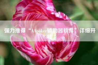 强力推荐“AApoker辅助器软件”详细开挂