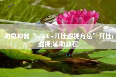 助赢神器“wepoker开挂透视方法”开挂(透视)辅助教程!