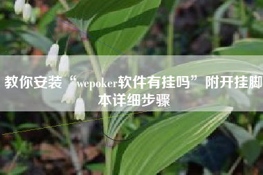 教你安装“wepoker软件有挂吗”附开挂脚本详细步骤