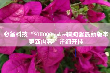 必备科技“SOHOOO poker辅助器最新版本更新内容	”详细开挂