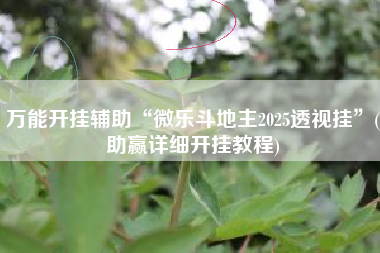 万能开挂辅助“微乐斗地主2025透视挂	”(助赢详细开挂教程)