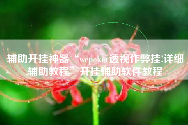辅助开挂神器“wepoker透视作弊挂!详细辅助教程	”开挂辅助软件教程