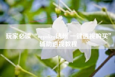 玩家必读“wepoker德州 一键透视购买”辅助透视教程