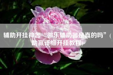 辅助开挂神器“微乐辅助器是真的吗”(助赢详细开挂教程)