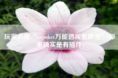 玩家必搜“wepoker万能透视看牌器”(原来确实是有插件)