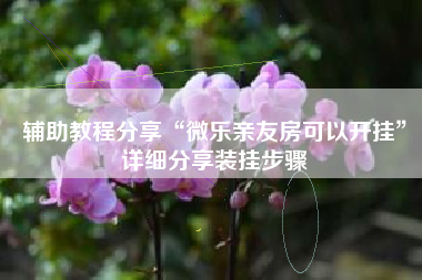 辅助教程分享“微乐亲友房可以开挂	”详细分享装挂步骤