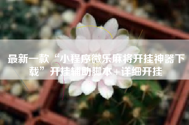 最新一款“小程序微乐麻将开挂神器下载”开挂辅助脚本+详细开挂