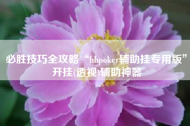 必胜技巧全攻略“hhpoker辅助挂专用版”开挂(透视)辅助神器