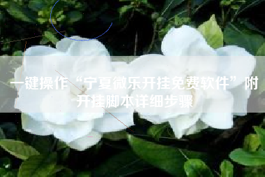 一键操作“宁夏微乐开挂免费软件”附开挂脚本详细步骤