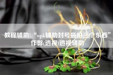教程辅助!“wpk辅助封号最怕三个东西”作弊(透视)透视辅助