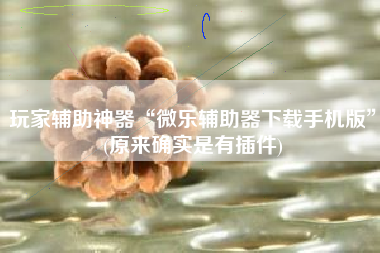 玩家辅助神器“微乐辅助器下载手机版	”(原来确实是有插件)