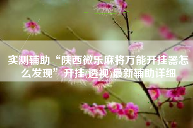 实测辅助“陕西微乐麻将万能开挂器怎么发现”开挂(透视)最新辅助详细