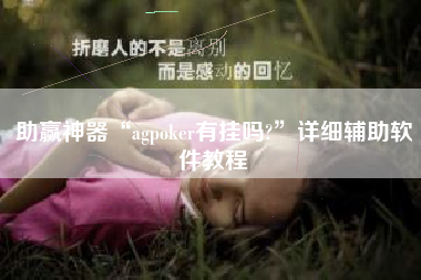 助赢神器“agpoker有挂吗?”详细辅助软件教程