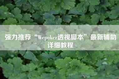 强力推荐“Wepoker透视脚本”最新辅助详细教程