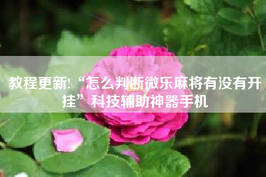 教程更新!“怎么判断微乐麻将有没有开挂	”科技辅助神器手机