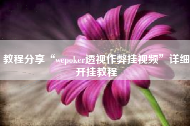 教程分享“wepoker透视作弊挂视频	”详细开挂教程