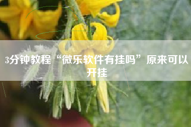 3分钟教程“微乐软件有挂吗	”原来可以开挂