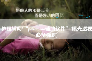 教程辅助!“pokemmo辅助软件”(曝光透视必备猫腻)