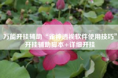 万能开挂辅助“雀神透视软件使用技巧”开挂辅助脚本+详细开挂