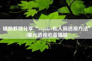 辅助教程分享“wepoker私人局透视方法	”(曝光透视必备猫腻