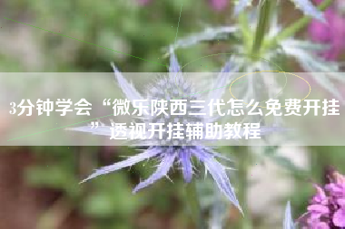 3分钟学会“微乐陕西三代怎么免费开挂”透视开挂辅助教程