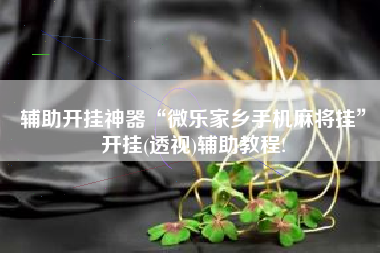 辅助开挂神器“微乐家乡手机麻将挂	”开挂(透视)辅助教程!
