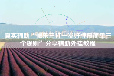 真实辅助“微乐三打一发好牌最简单三个规则”分享辅助外挂教程