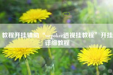 教程开挂辅助“wepoker透视挂教程	”开挂详细教程