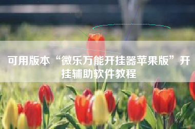 可用版本“微乐万能开挂器苹果版	”开挂辅助软件教程