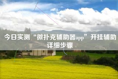 今日实测“微扑克辅助器app	”开挂辅助详细步骤