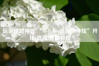 玩家辅助神器:“WePoKer透视软件挂	”开挂(透视)辅助教程