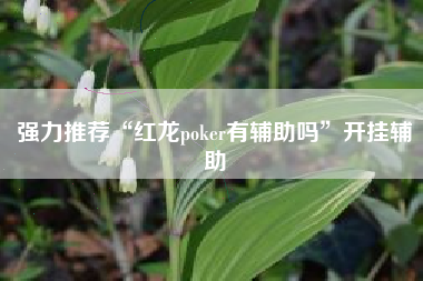 强力推荐“红龙poker有辅助吗”开挂辅助