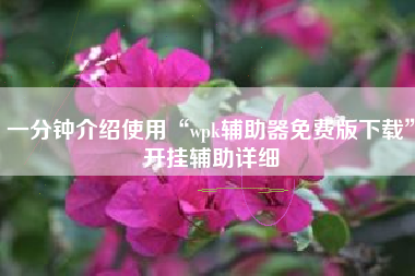 一分钟介绍使用“wpk辅助器免费版下载”开挂辅助详细