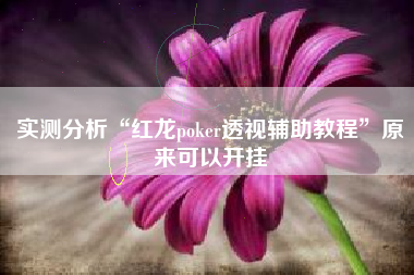 实测分析“红龙poker透视辅助教程”原来可以开挂