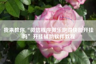 我来教你“微信程序微乐跑得快能开挂吗”开挂辅助软件教程