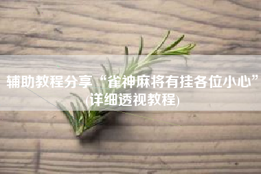 辅助教程分享“雀神麻将有挂各位小心”(详细透视教程)