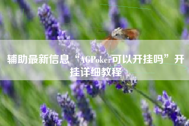 辅助最新信息“AGPoker可以开挂吗”开挂详细教程