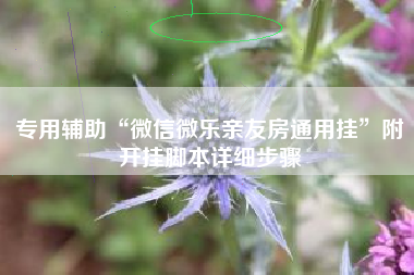 专用辅助“微信微乐亲友房通用挂”附开挂脚本详细步骤