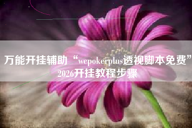 万能开挂辅助“wepokerplus透视脚本免费	”2026开挂教程步骤
