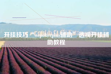 开挂技巧“wepokerplus辅助”透视开挂辅助教程