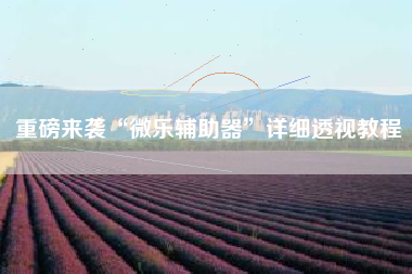 重磅来袭“微乐辅助器”详细透视教程